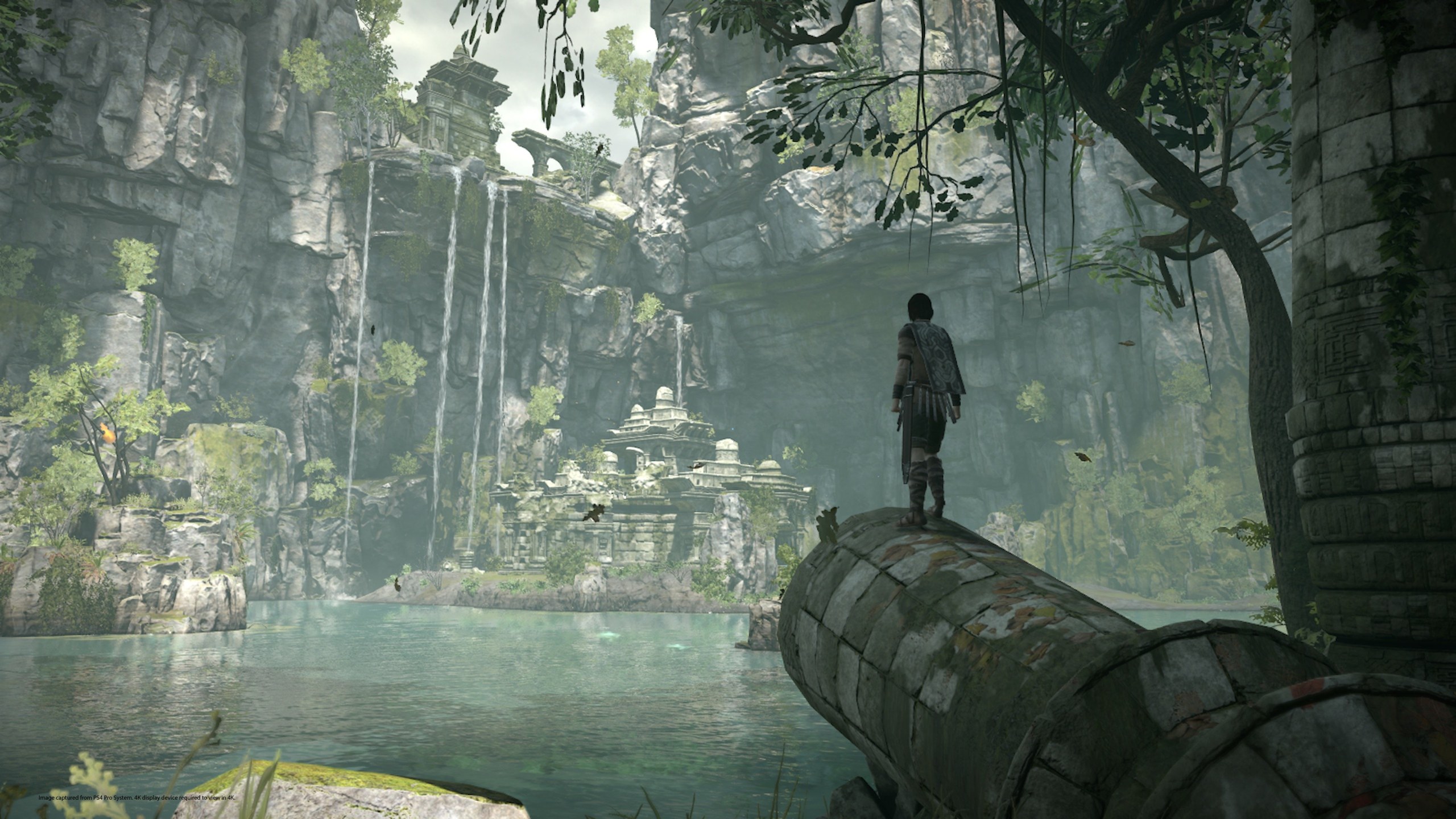 Shadow of the Colossus Remaster